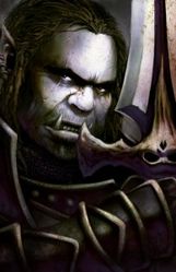 Dorn Image credit http://baldursgate.wikia.com/wiki/Dorn_Il-Khan?file=DornPortrait.jpg